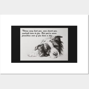 Thorns may hurt you...Border Collie Posters and Art